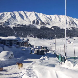 Life at slow pace amid snowy Gulmarg
PIC BY:kashmirmediawatch.com