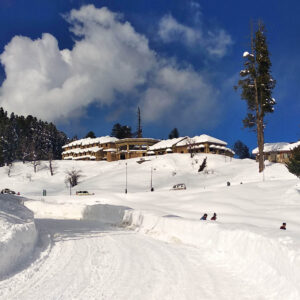 Blooming snow in winter Gulmarg 
PIC BY:kashmirmediawatch.com