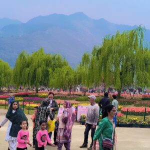 ClsKUlNuYXBjaGF0LzEzLjMyLjAuNDMgKDIzMDkwUkE5OEk7IEFuZHJvaWQgMTUjT1MyLjAuMS4wLlZOT0lOWE0jMzU7IGd6aXApIFYvTVVTSFJPT00QvomFrO0B