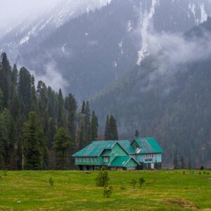 pexels-imadclicks-31204203